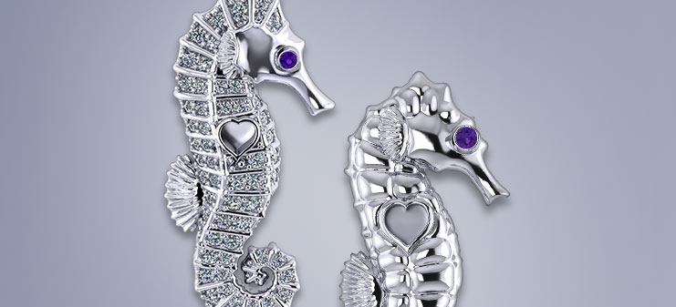Seahorse Project